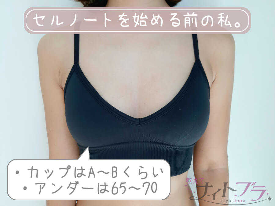 セルノート サプリメント - 健康用品